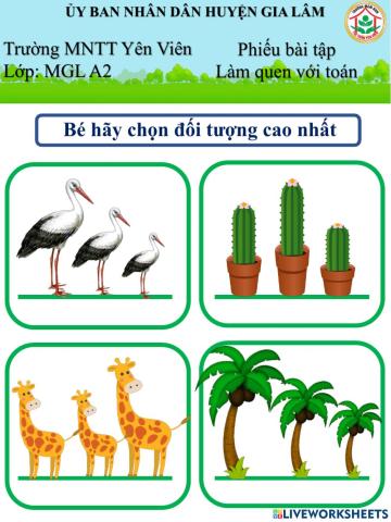 Chọn đối tượng cao nhất