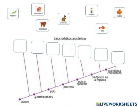 Ejercicio taxonomía