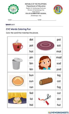 Selection box worksheet