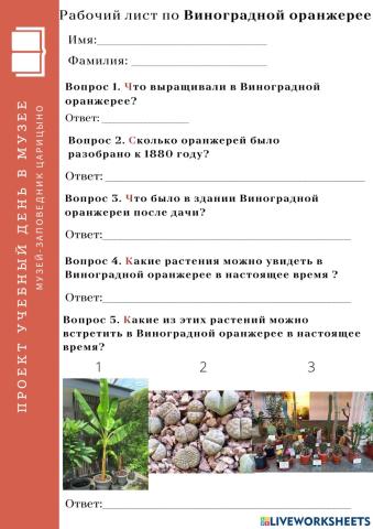 Виноградная оранжерея