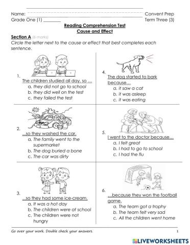 Cause and Effect Test