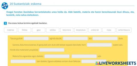 20. jarduera SUBSTANTZIAK ESKEMA