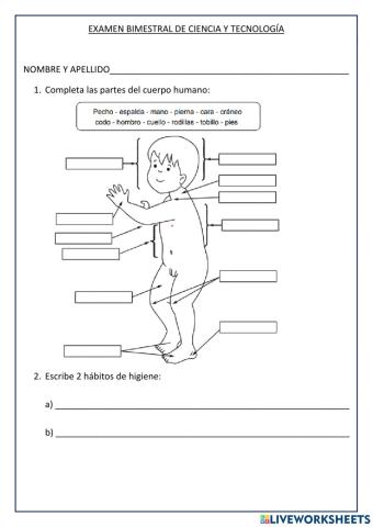 Examen de Ciencia y tecnología