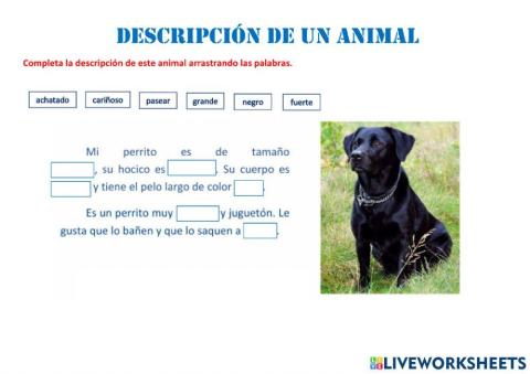 Descripción de un animal