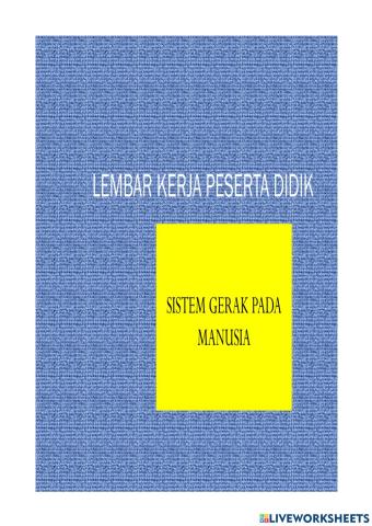 Sistem Gerak Pada Manusia