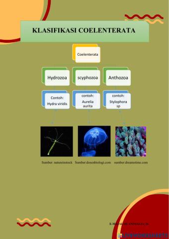 Topik 2 (invertebrta): Coelenterata dan platyhelmintes