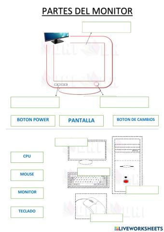 Partes de la computadora