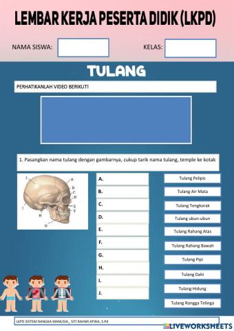 Lkpd sistem gerak manusia