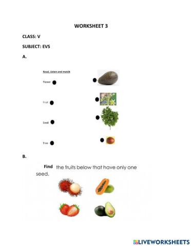 Live worksheet 3