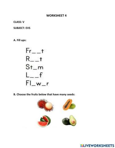 Live worksheet 4