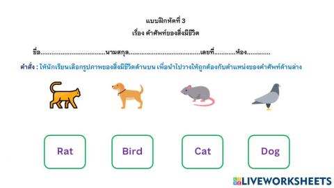 แบบฝึกหัดที่ 3 เรื่องคำศัพท์ของสิ่งมีชีวิต