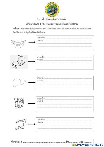 ร่างกาย