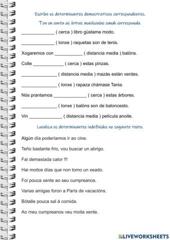 Determinantes demostrativos e indefinidos