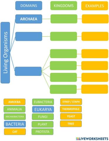 Classification of kingdoms