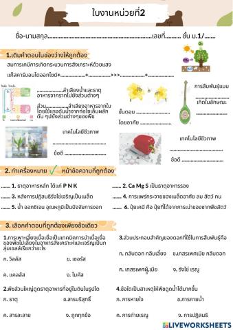 ใบงาน หน่วยที่2