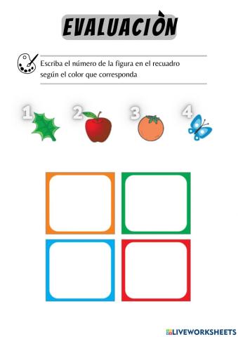 Evaluación los colores