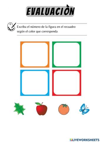 Evaluación Los colores