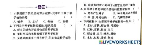 初一科学第四章复习1