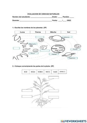 Evaluacion de ciencias naturales