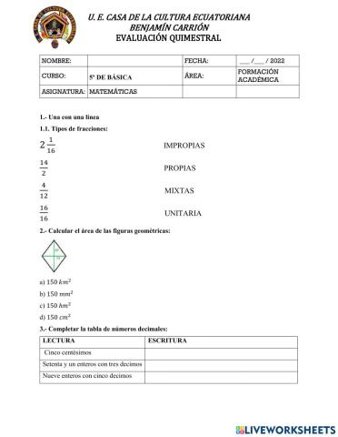 Evaluacion quimestral 5 basica