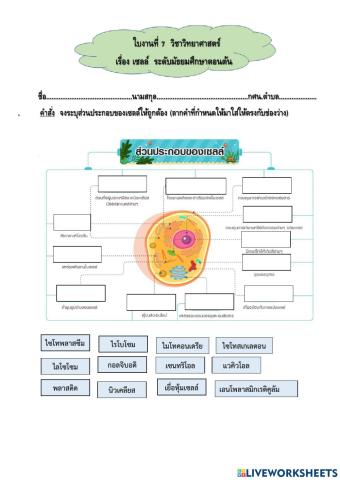 ใบงานที่7