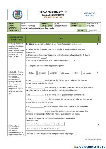 Examen quimestral