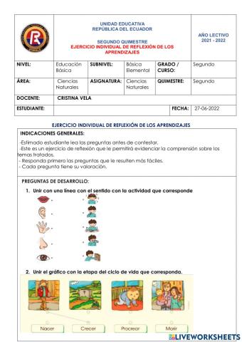 Ejercicio individual de reflexión de los aprendizajes