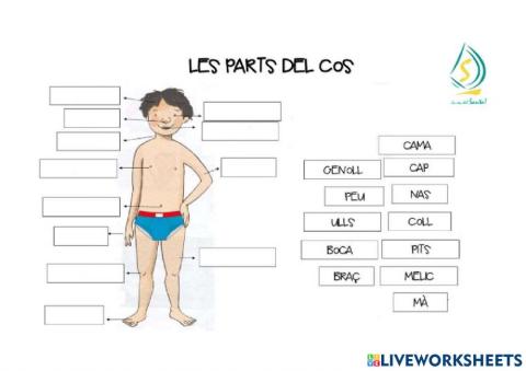 Les parts del cos