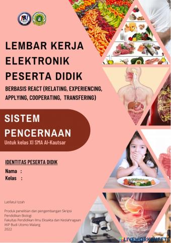 Kegiatan 1 sistem pencernaan