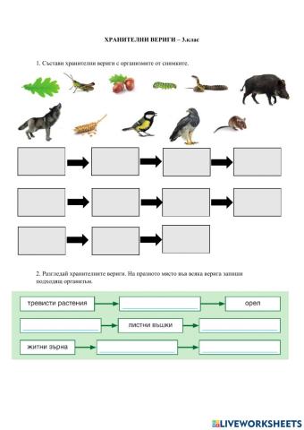 Хранителни вериги - 3.клас