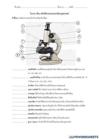 กล้องจุลทรรศน์