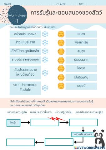 1.การรับรู้และตอบสนอง 6-3