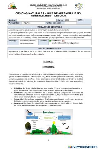 Ecosistema colegio adultos