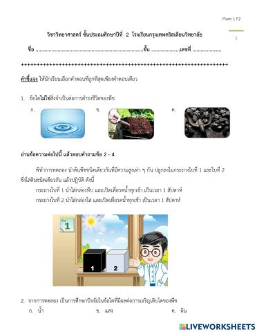 ปัจจัยในการดำรงชีวิตของพืช