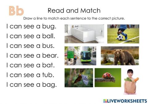 Read and Match Letter B Words