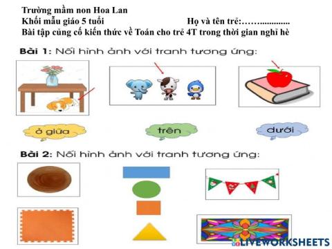 Bài tập Toán cho trẻ 5 tuổi