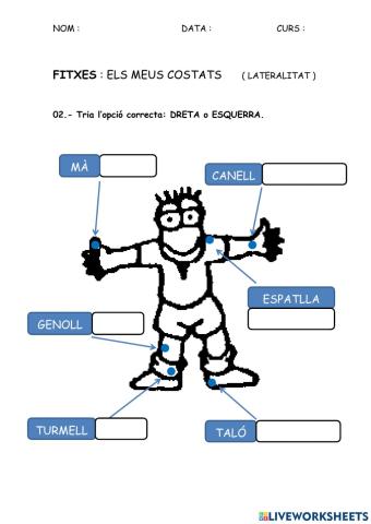 LAT - Lateralitat 02