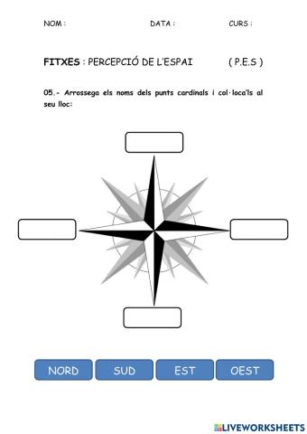 PES - Percepció espacial 05