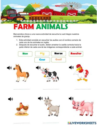 Farm animals