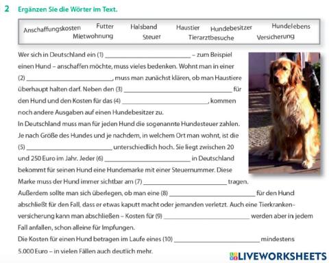 Hundebesitzer