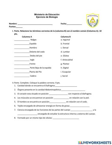 Ejercicio de Biología A