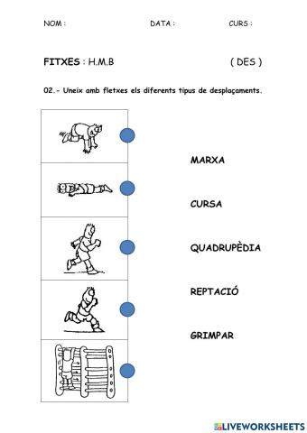 DES - Desplaçaments 02