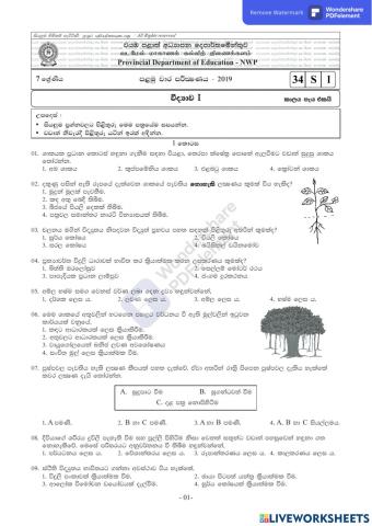 Grade 7 - First  Term test - 2019