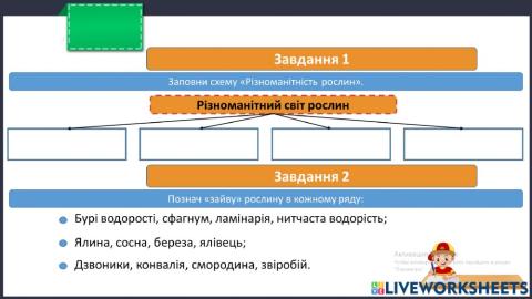 Які бувають рослини