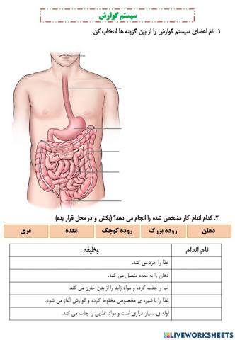 دستگاه گوارش