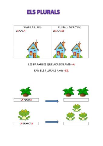 Els plurals de paraules acabades amb A