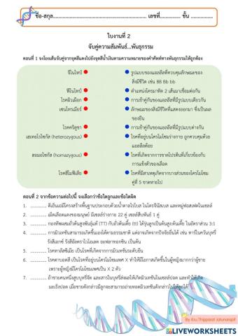 ใบงานที่ 2 จับคู่ความสัมพันธ์...พันธุกรรม 1-2565