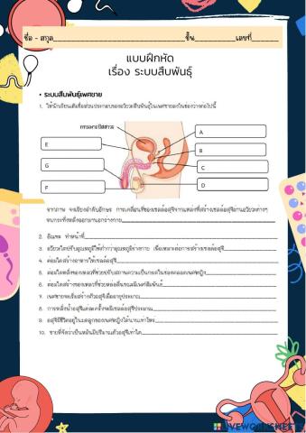 แบบฝึกหัด เรื่องระบบสืบพันธุ์