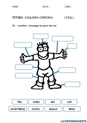 ESQ - Esquema corporal 01