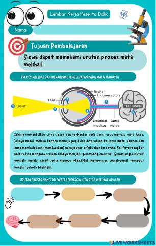 Indera Penglihatan (Mata)